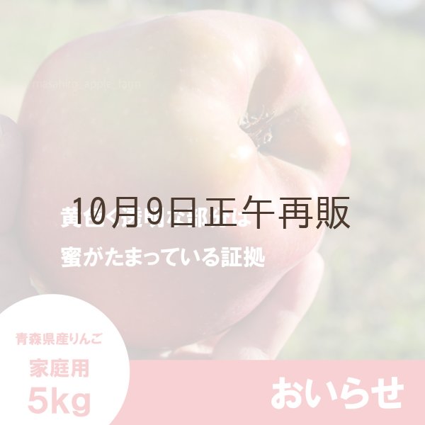 画像3: おいらせ　家庭用　５kg（約10-14個）≪送料込≫ (3)