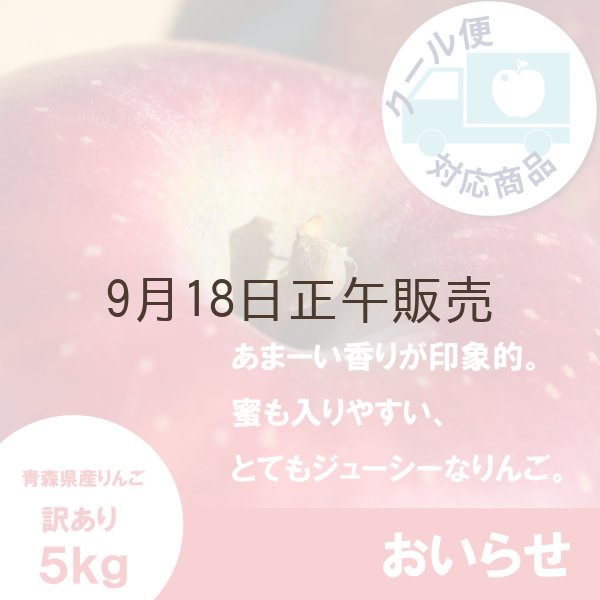 画像1: ※10月中旬発送予定※ おいらせ　訳あり　５kg（約14個前後）≪送料込≫ (1)