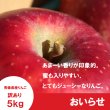 画像1: おいらせ　訳あり　５kg（約14個前後）≪送料込≫ (1)