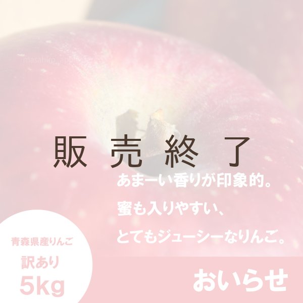 画像1: おいらせ　訳あり　５kg（約14個前後）≪送料込≫ (1)