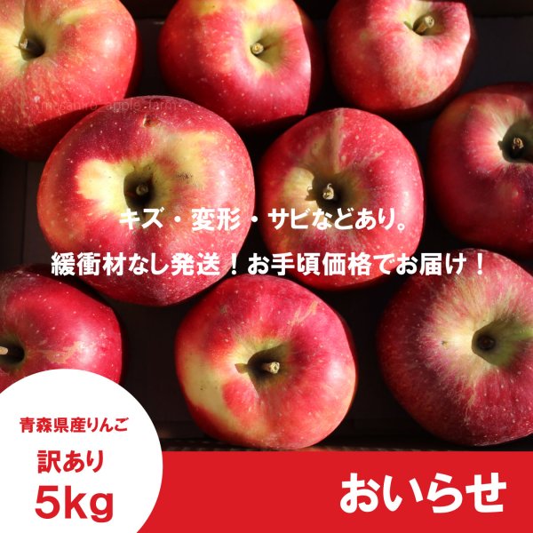画像2: おいらせ　訳あり　５kg（約10-15個前後）≪送料込≫ (2)