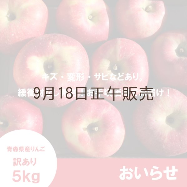 画像2: ※10月中旬発送予定※ おいらせ　訳あり　５kg（約14個前後）≪送料込≫ (2)