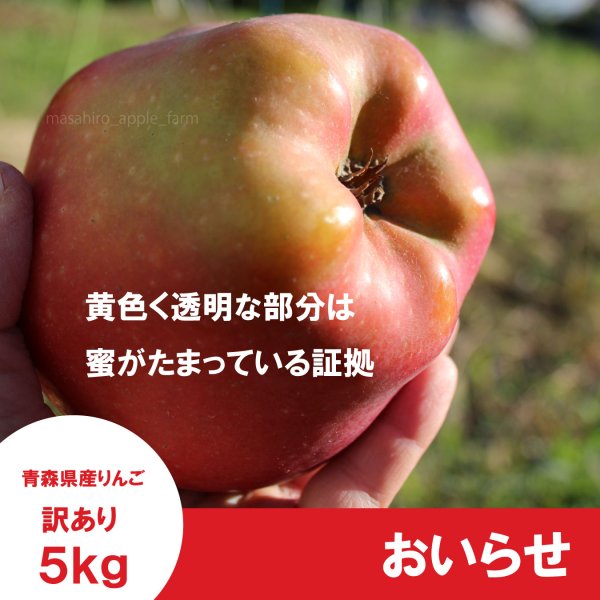 画像3: おいらせ　訳あり　５kg（約10-15個前後）≪送料込≫ (3)