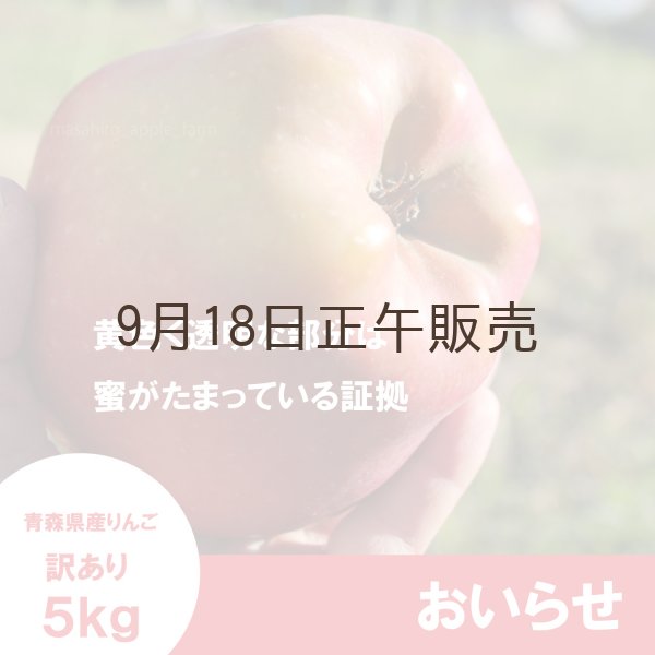 画像3: ※10月中旬発送予定※ おいらせ　訳あり　５kg（約14個前後）≪送料込≫ (3)