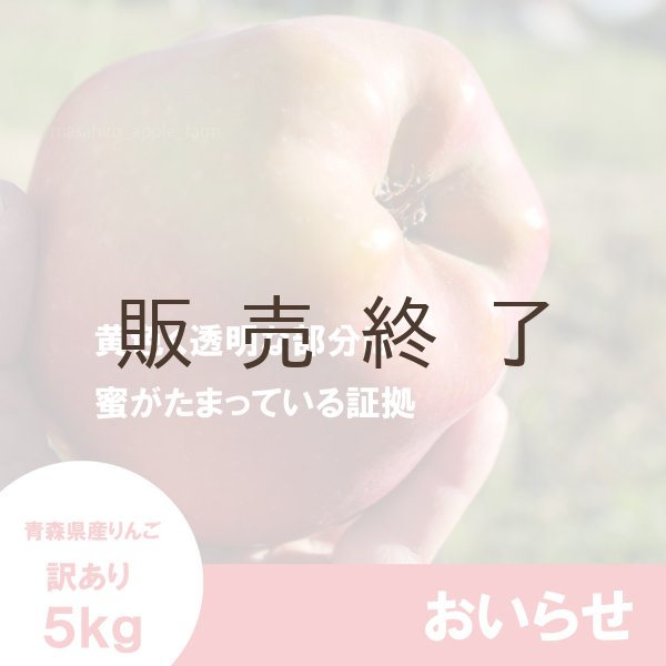 画像3: おいらせ　訳あり　５kg（約14個前後）≪送料込≫ (3)