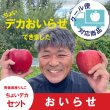 画像1: ※数量限定※ おいらせ　ちょいデカセット（一玉約600g 6〜7個入）≪送料込≫ (1)