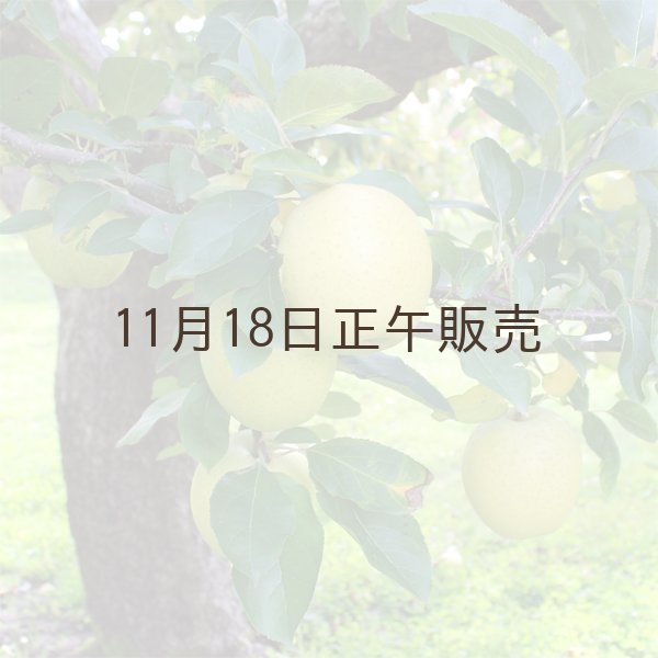 画像3: ※12月第二週発送予定※【ミックスセット】葉とらずサンふじ＆王林　贈答用　１０kg ≪送料込≫ (3)