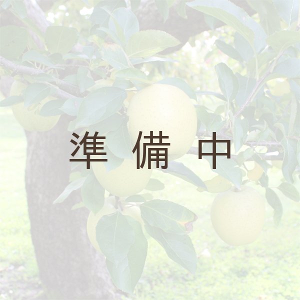 画像3: ※12月第二週発送予定※【ミックスセット】葉とらずサンふじ＆王林　贈答用　５kg ≪送料込≫ (3)