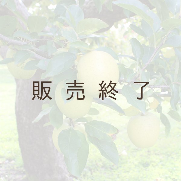 画像3: ※12月第二週発送予定※【ミックスセット】葉とらずサンふじ＆王林　家庭用　５kg ≪送料込≫ (3)