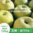画像1: 王林　贈答用　１０kg（約24-40個）≪送料込≫ (1)