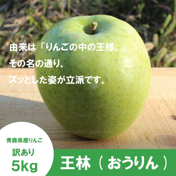 画像3: 王林　訳あり　５kg（約20個程度）≪送料込≫ (3)