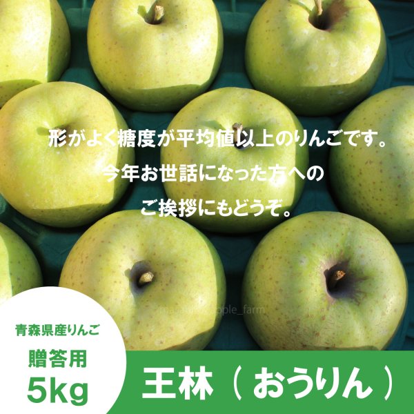 画像2: 王林　贈答用　５kg（約12-20個）≪送料込≫ (2)