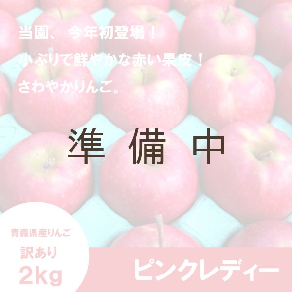 画像1: ピンクレディー　訳あり　2.5kg（約11〜13個） ≪送料込≫ (1)