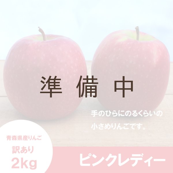 画像3: ピンクレディー　訳あり　2.5kg（約11〜13個） ≪送料込≫ (3)