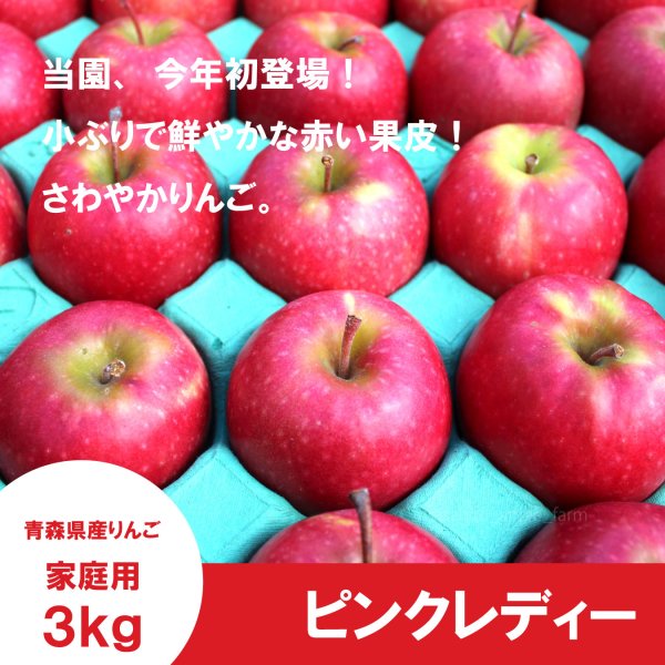 画像1: ピンクレディー　家庭用　3kg（約11-14個） ≪送料込≫ (1)