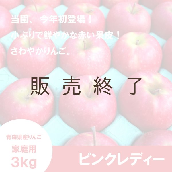 画像1: ピンクレディー　家庭用　3kg（約11-14個） ≪送料込≫ (1)