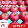 画像1: ピンクレディー　訳あり　2.5kg（約11〜13個） ≪送料込≫ (1)