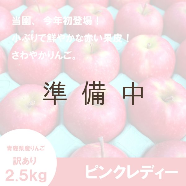 画像1: ピンクレディー　訳あり　2.5kg（約11〜13個） ≪送料込≫ (1)