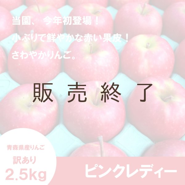 画像1: ピンクレディー　訳あり　2.5kg（約11〜13個） ≪送料込≫ (1)
