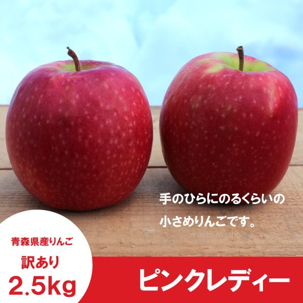 画像3: ピンクレディー　訳あり　2.5kg（約11〜13個） ≪送料込≫ (3)