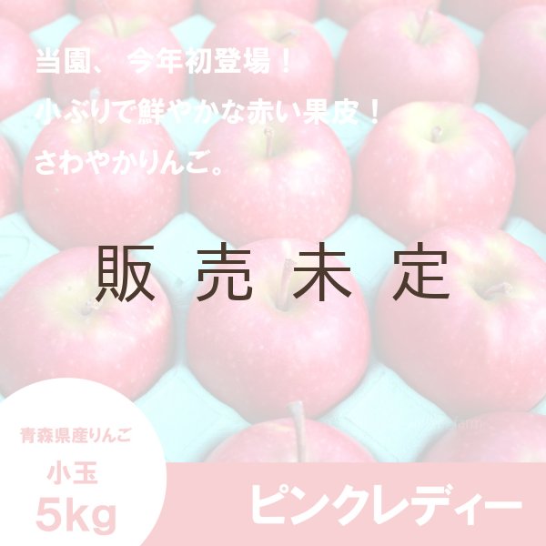 画像1: ピンクレディー　家庭用 ちびちび小玉　5kg ≪送料込≫ (1)