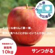 画像1: サンつがる　家庭用　１０kg（約24-40個）≪送料込≫ (1)