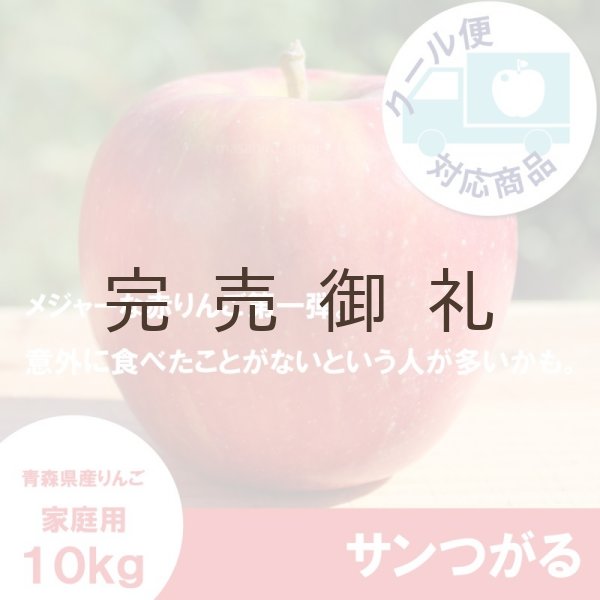 画像1: サンつがる　家庭用　１０kg（約24-40個）≪送料込≫ (1)
