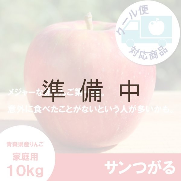 画像1: サンつがる　家庭用　１０kg（約24-40個）≪送料込≫ (1)