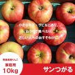 画像2: サンつがる　家庭用　１０kg（約24-40個）≪送料込≫ (2)