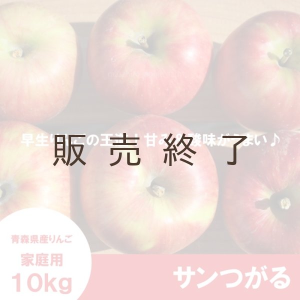 画像3: サンつがる　家庭用　１０kg（約24-40個）≪送料込≫ (3)
