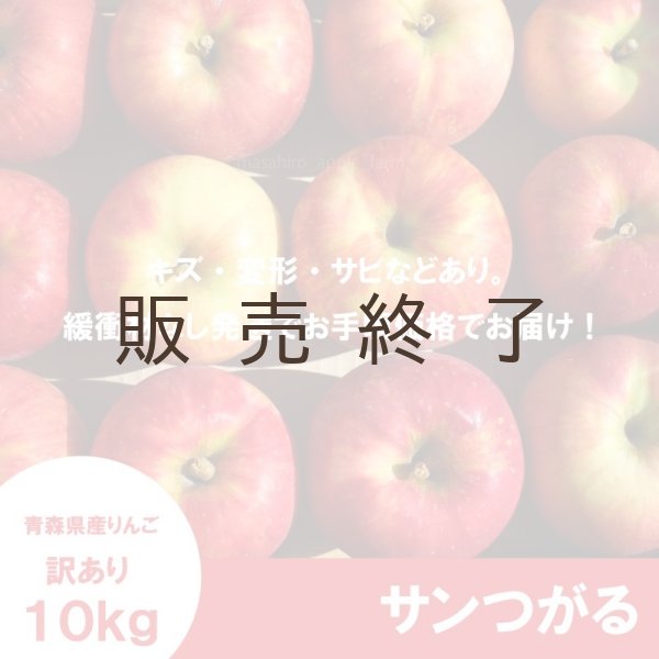 画像2: サンつがる 訳あり 10kg(約40個程度)≪送料込≫ (2)