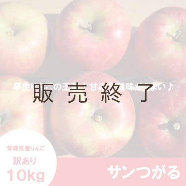 画像3: サンつがる 訳あり 10kg(約40個程度)≪送料込≫ (3)