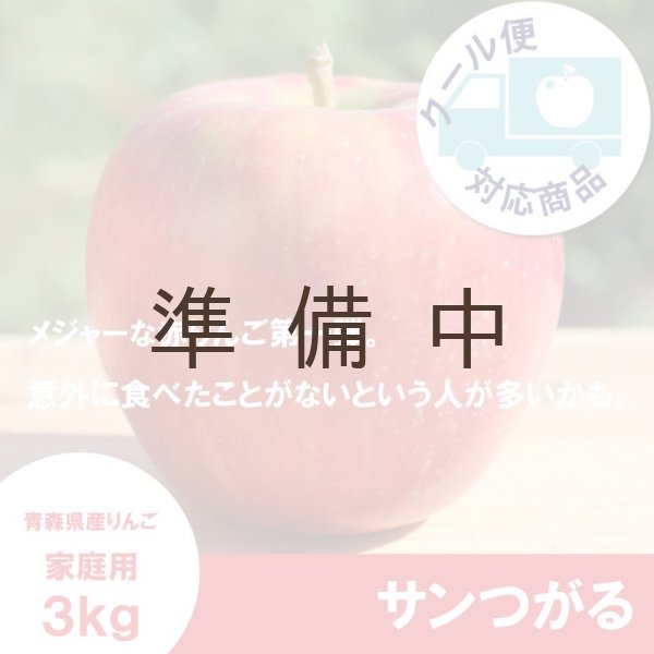 画像1: サンつがる　家庭用　３kg（約7-12個）≪送料込≫ (1)