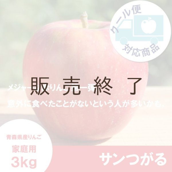 画像1: サンつがる　家庭用　３kg（約7-12個）≪送料込≫ (1)