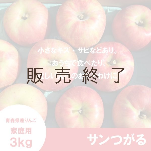 画像2: サンつがる　家庭用　３kg（約7-12個）≪送料込≫ (2)