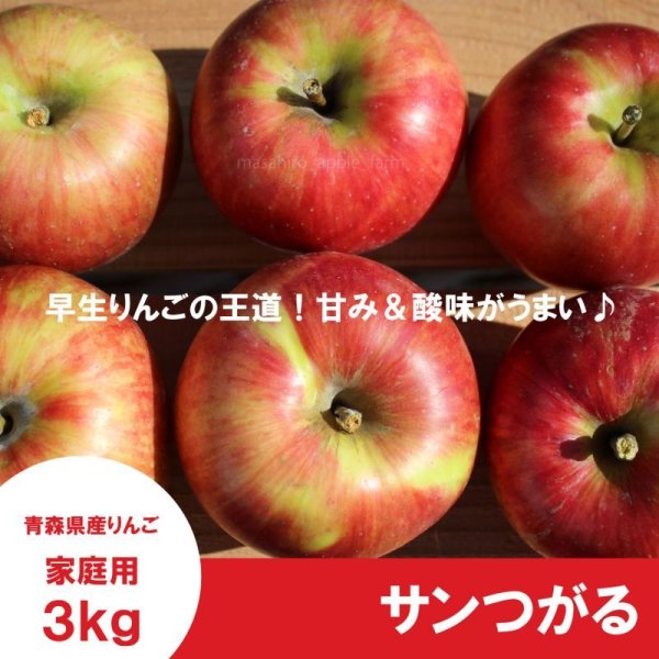 画像3: ※9月第二週発送予定※ 決済方法限定で8/31まで早期割引！ サンつがる　家庭用　３kg（約7-12個）≪送料込≫ (3)