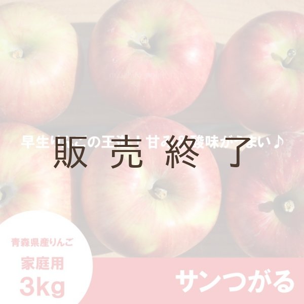 画像3: サンつがる　家庭用　３kg（約7-12個）≪送料込≫ (3)