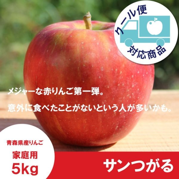 画像1: サンつがる　家庭用　５kg（約14-20個）≪送料込≫ (1)