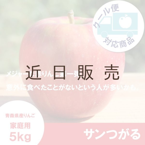 画像1: サンつがる　家庭用　５kg（約14-20個）≪送料込≫ (1)