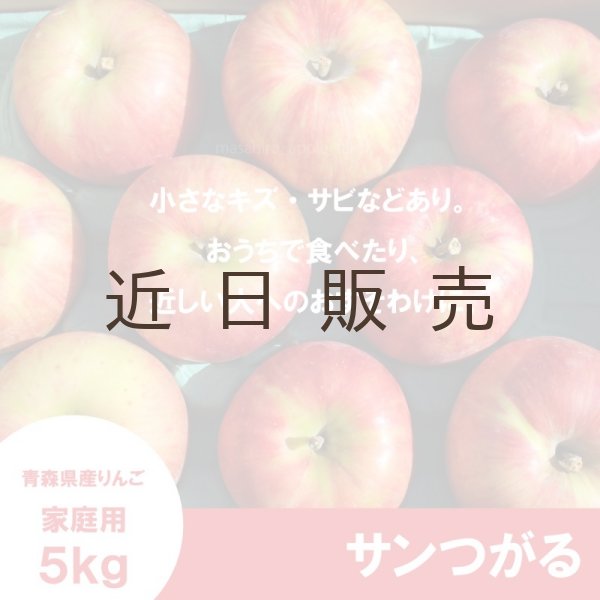 画像2: サンつがる　家庭用　５kg（約14-20個）≪送料込≫ (2)