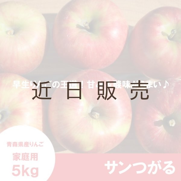 画像3: サンつがる　家庭用　５kg（約14-20個）≪送料込≫ (3)