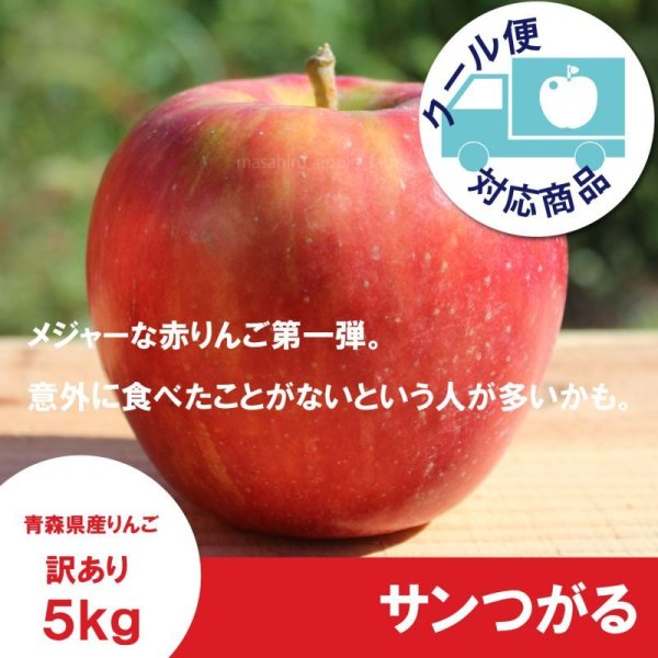 画像1: サンつがる　訳あり　５kg（約20個程度）≪送料込≫ (1)