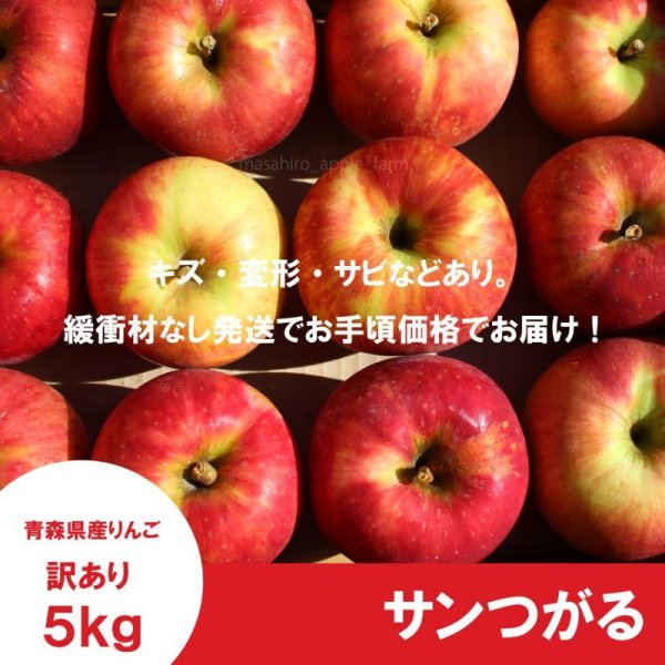 画像2: ※9月第二週発送予定※ サンつがる　訳あり　５kg（約20個程度）≪送料込≫ (2)