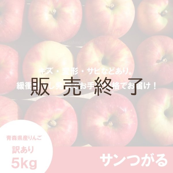 画像2: サンつがる 訳あり 5kg(約20個程度)≪送料込≫ (2)