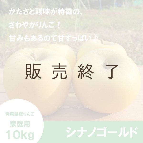 画像1: シナノゴールド　家庭用　１０kg（約24-40個）≪送料込≫ (1)