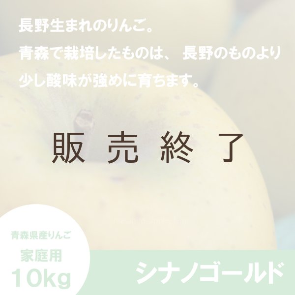 画像3: シナノゴールド　家庭用　１０kg（約24-40個）≪送料込≫ (3)