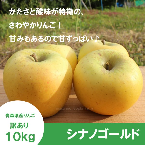画像1: シナノゴールド　訳あり　１０kg（約40個程度）≪送料込≫ (1)