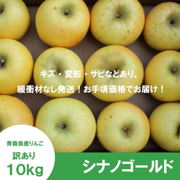 画像2: シナノゴールド　訳あり　１０kg（約40個程度）≪送料込≫ (2)