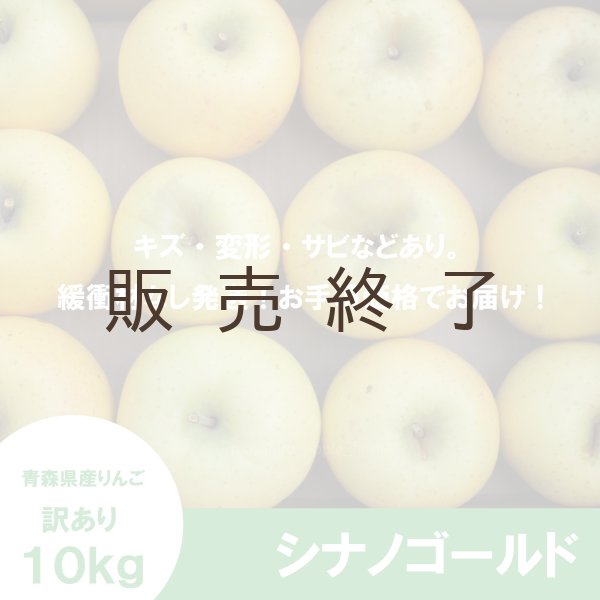 画像2: シナノゴールド　訳あり　１０kg（約40個程度）≪送料込≫ (2)