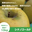 画像3: ※11月中旬発送※ シナノゴールド　訳あり　１０kg（約40個程度）≪送料込≫ (3)